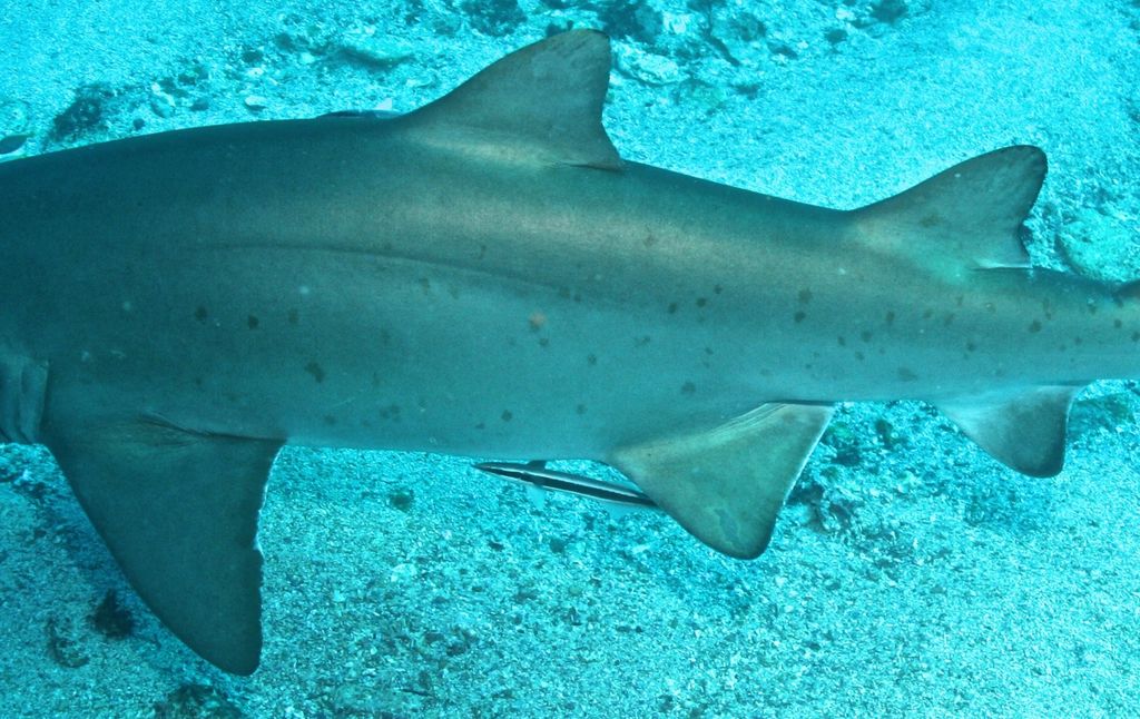 ab1661d2-67a4-417f-a655-e49ea5607da6