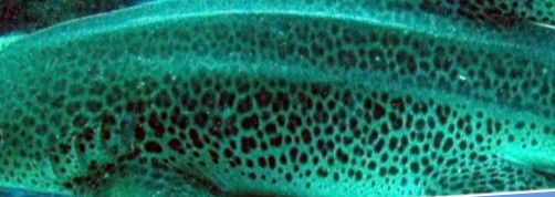 d12f794c-b008-425b-b337-8e413d6c4ad2