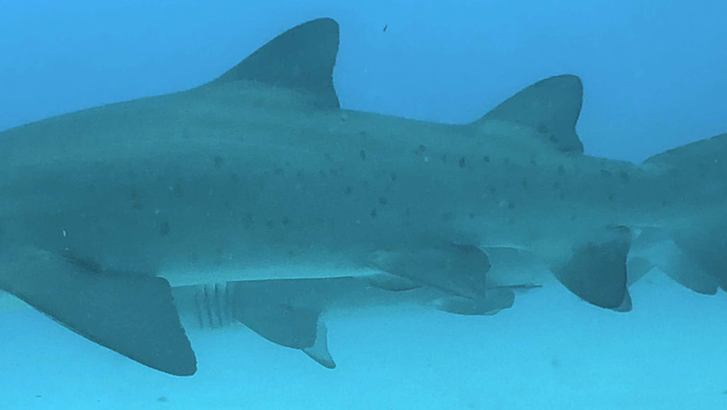 a20861d8-0be9-4afe-bf3b-9473c5e45689