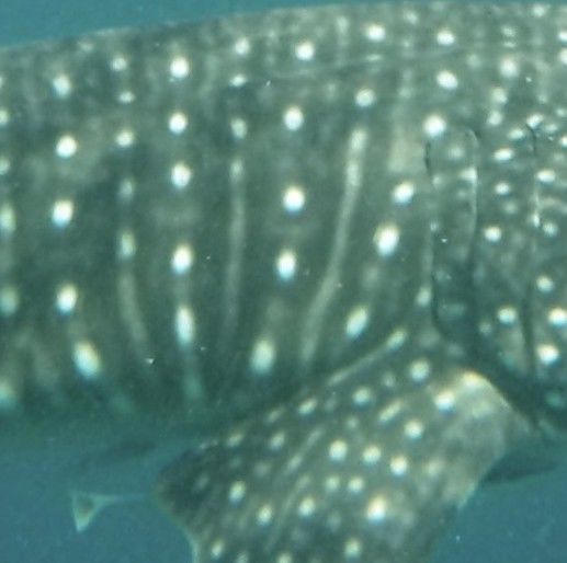 6b18189c-f7d1-4f16-b0a4-6671aed10c96