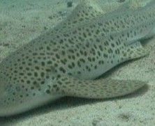 c2c16e35-beac-49fb-aba9-4ad67a4fe707