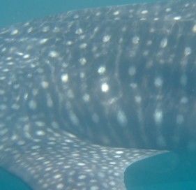 1d978959-22be-459d-8971-68bfe9ed4d9a