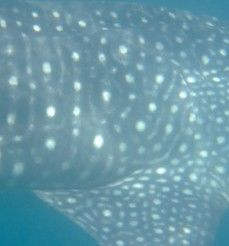 1d978959-22be-459d-8971-68bfe9ed4d9a