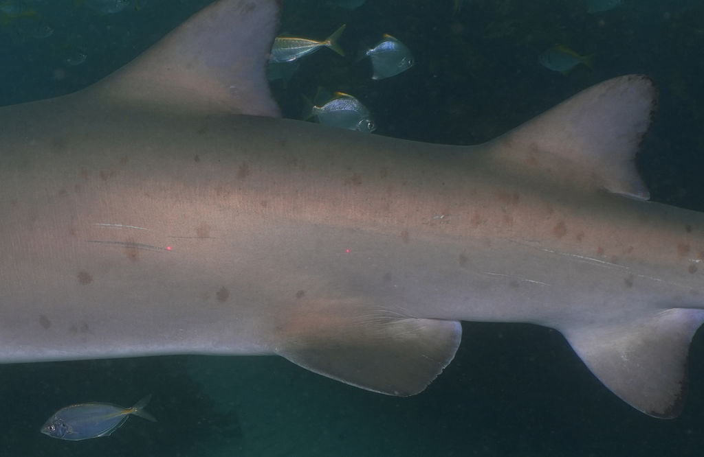 c7c458ed-c474-4c05-b29d-356c51007bb8