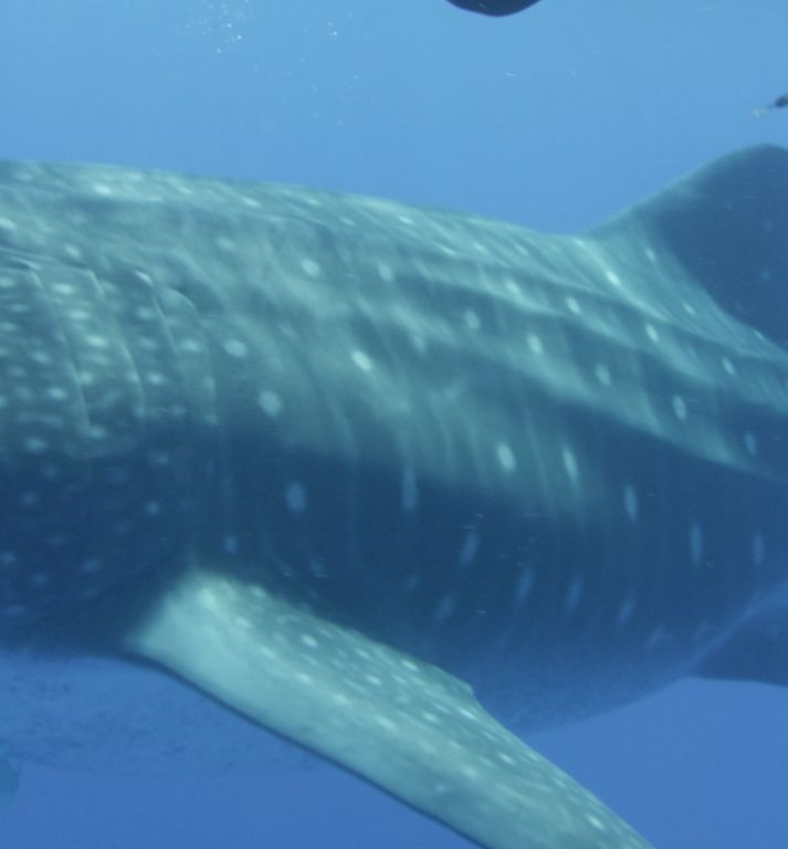 5470d686-e4ee-420f-992b-26fa49e3560b