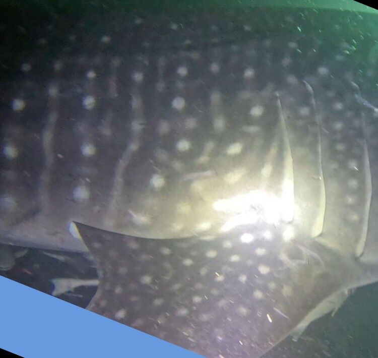 8fddff22-56a8-4711-9a7f-37040d7b5dce