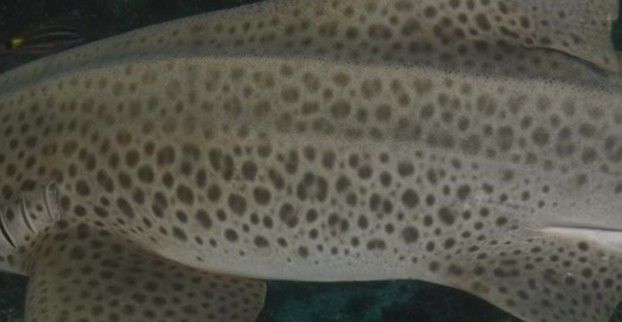 50aca0cc-6c48-4efe-aeca-a22429c3fad2