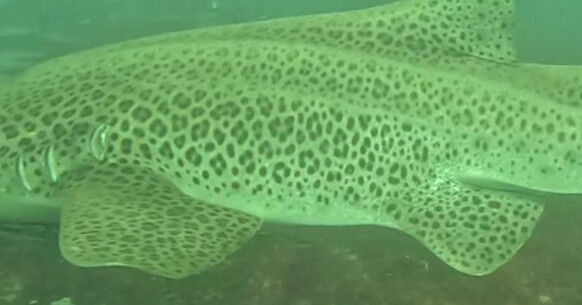 cda41609-d5e5-4d5a-9aa2-d33e225b5cbf