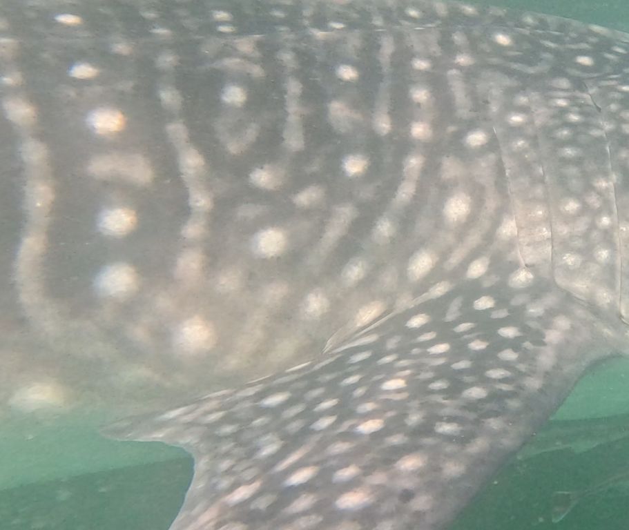 3eaf382e-8429-43ec-94c7-f279c5a73de4