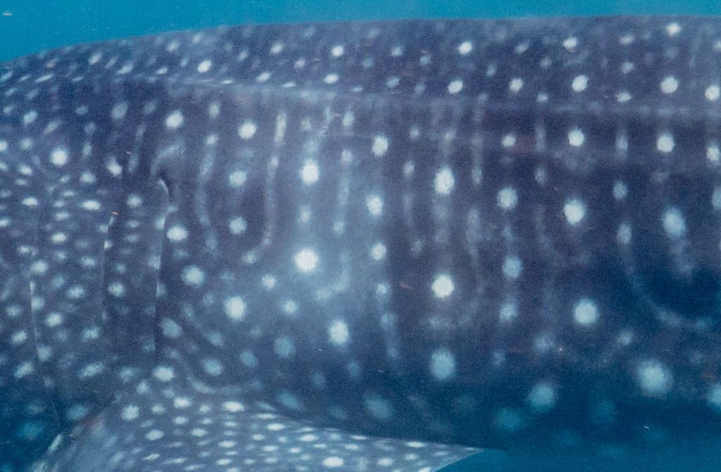 e759f484-3712-4127-852f-93a9f092ac9f