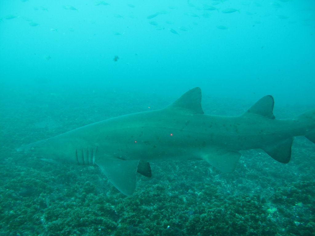 8534b724-154b-4ee9-b266-8c1e1fbb81a2