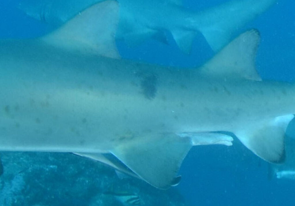 8b0e9898-2659-4309-a499-47382dae1335