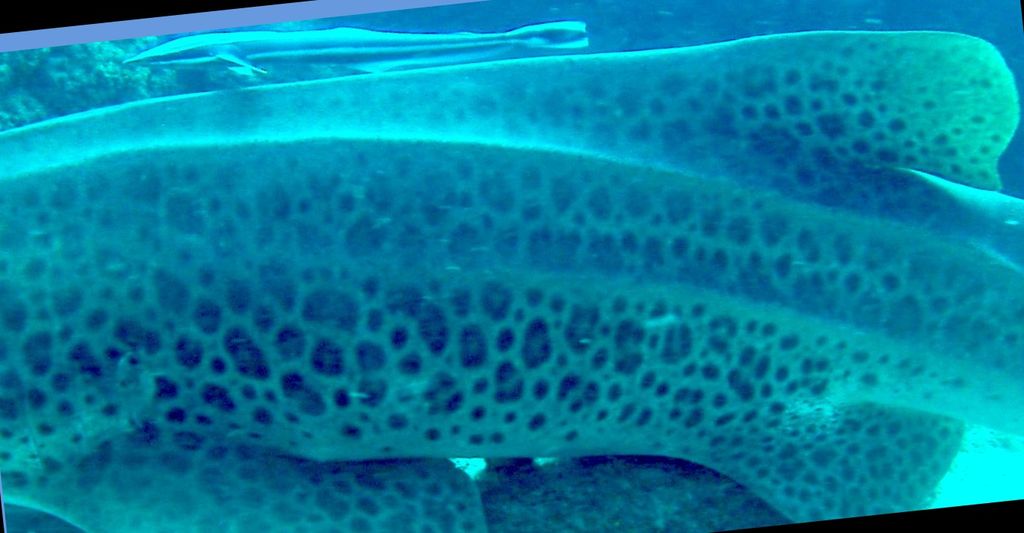 3d482080-3e40-42b1-8c47-afc025be04ed