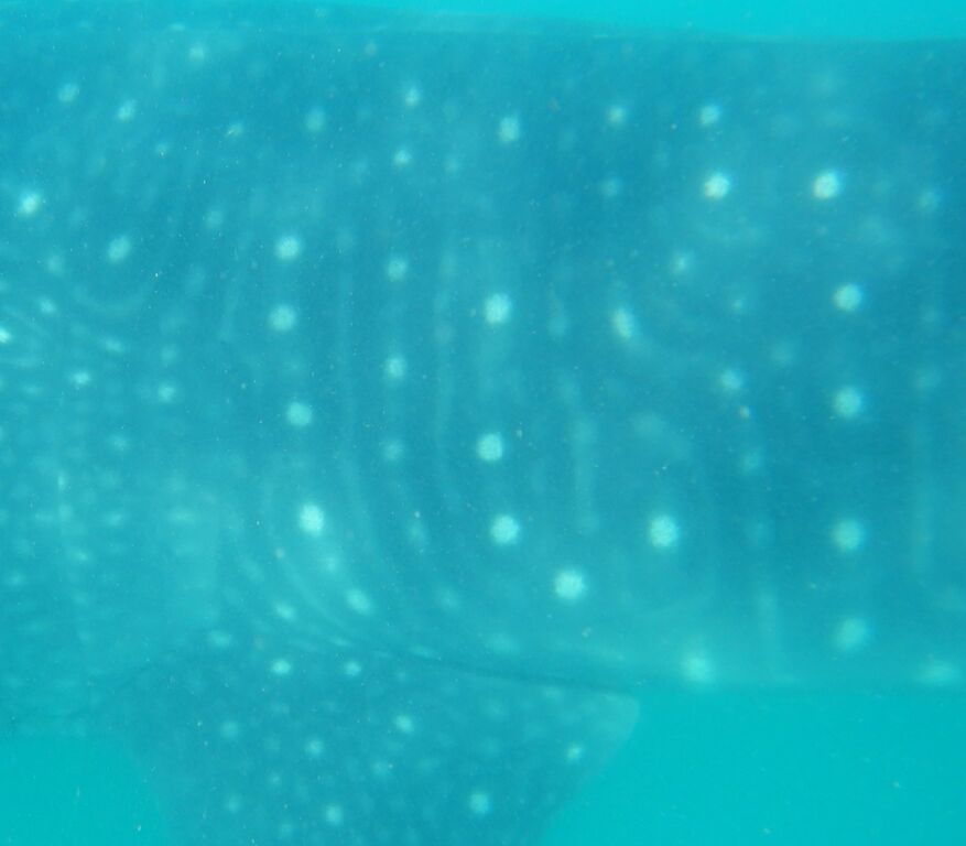 ccd77028-6591-4833-80b5-778f9a6bf197