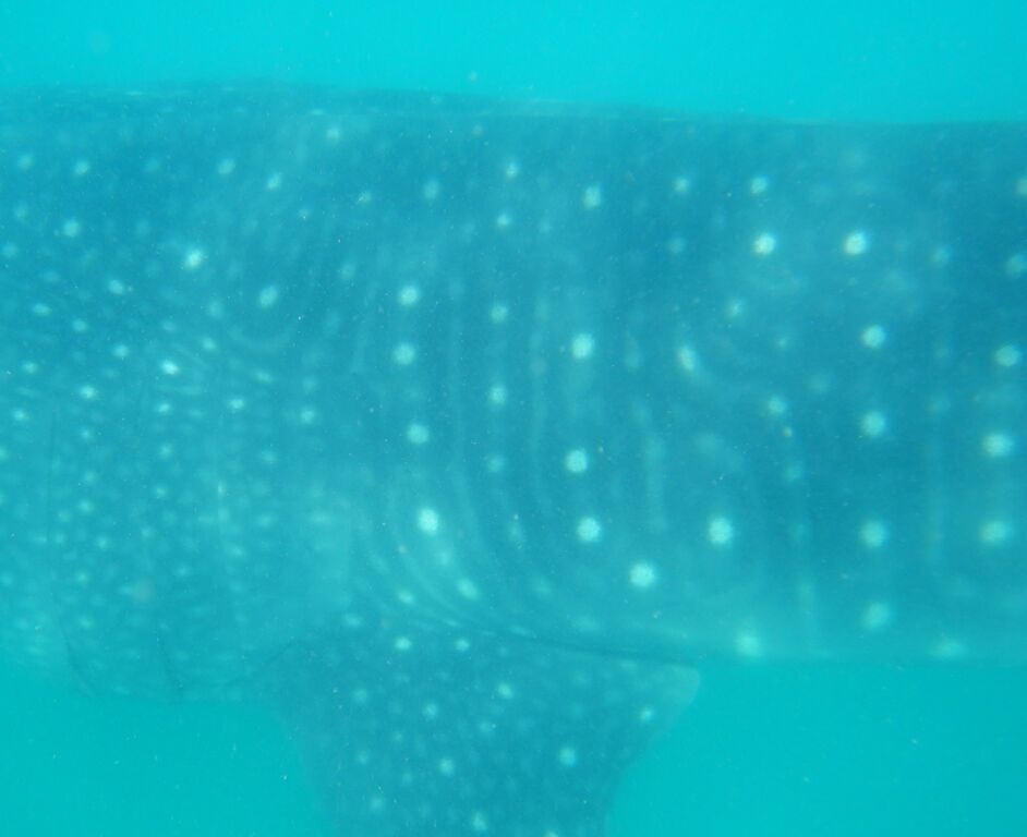 ccd77028-6591-4833-80b5-778f9a6bf197