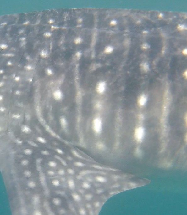 0e24d577-45d6-46aa-a4c5-7b79625432d3