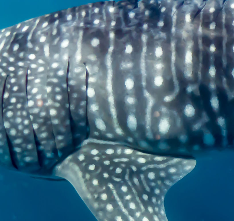 5b80691a-f7cd-4f9b-96ae-1c6b10b7f63f