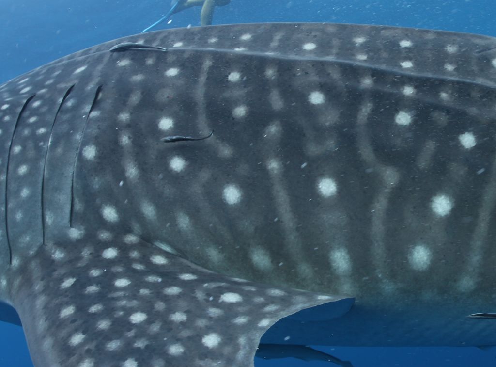 09f41482-0931-48fb-b961-3ecacf665c67