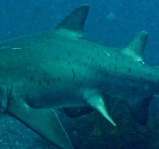 e0aa04cc-8f44-4d0d-9b38-3657e0c465c4