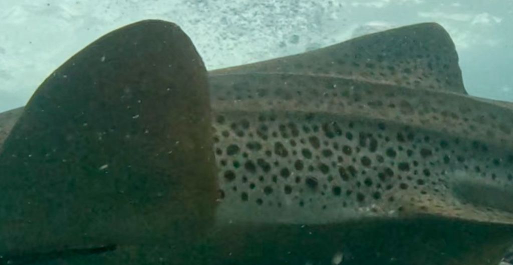 ca0b3b29-7ad1-40b7-ab90-28097e99080e