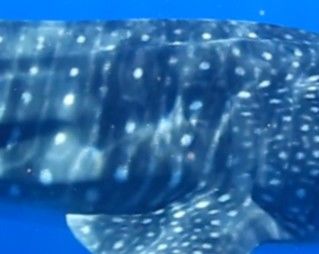 1d3d2551-66f7-48a3-a8c5-eed0ce9342fa