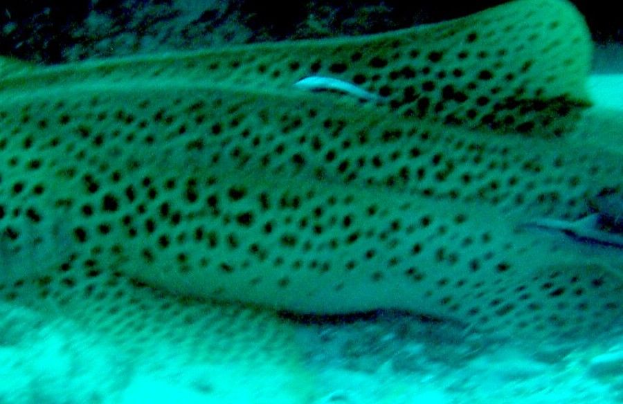 8fcec9fa-e0bc-49f1-9136-564baffb3692