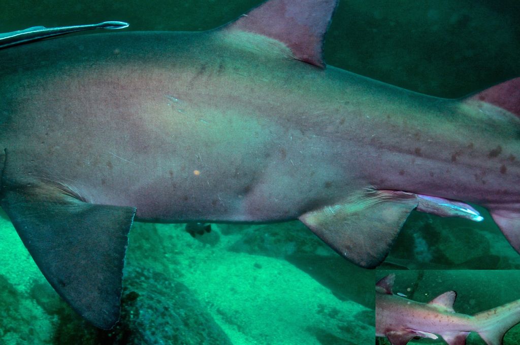 ecf6bcba-098e-4085-b131-d51229936d3e