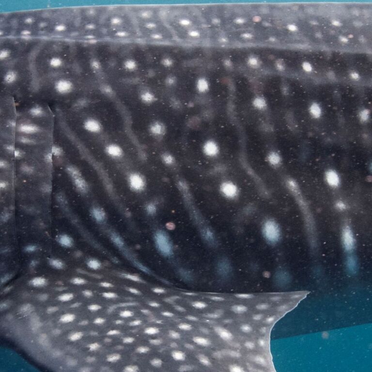 466bda85-1b92-49c5-9fdc-3e5d1f10ed4c