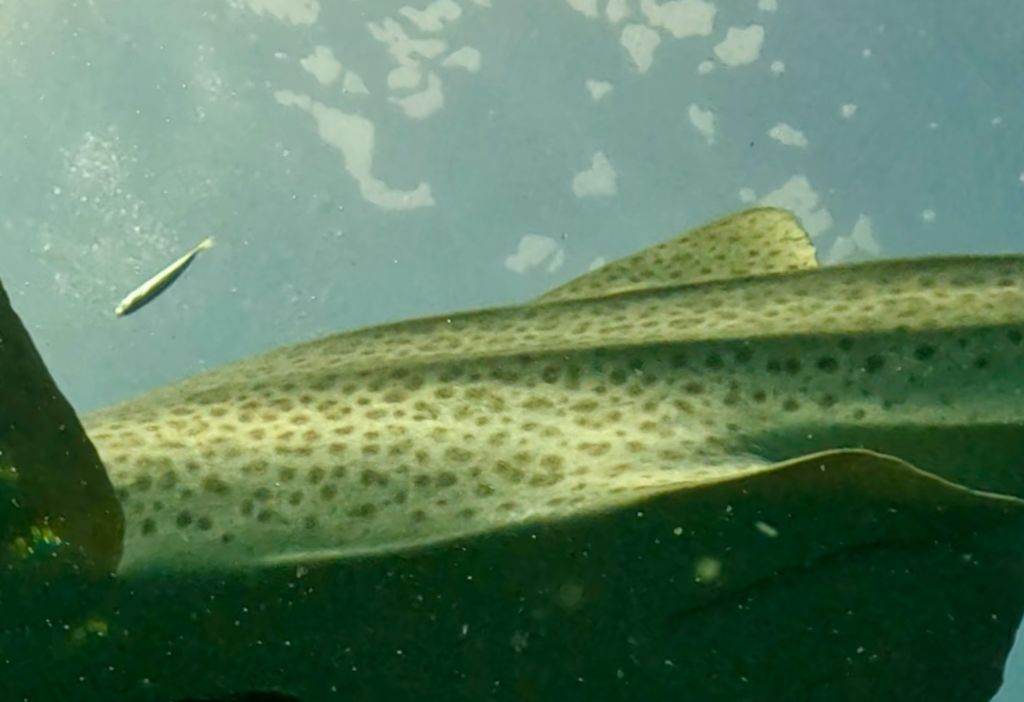 afbe0f0b-5989-4e1c-afa7-4199206f28fa