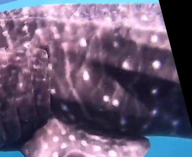 06c9f970-6a20-430f-8fa6-e4d7df806182