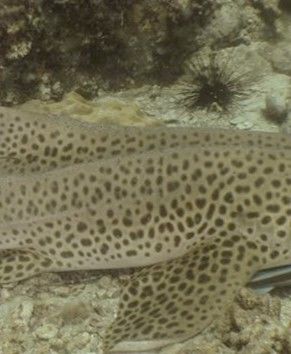 b3a5556b-e2ab-4b45-bae5-42b715ba93c1