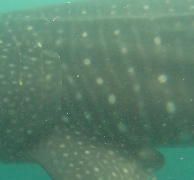 488a3d24-1772-4a70-af3d-1daeace6f1d0