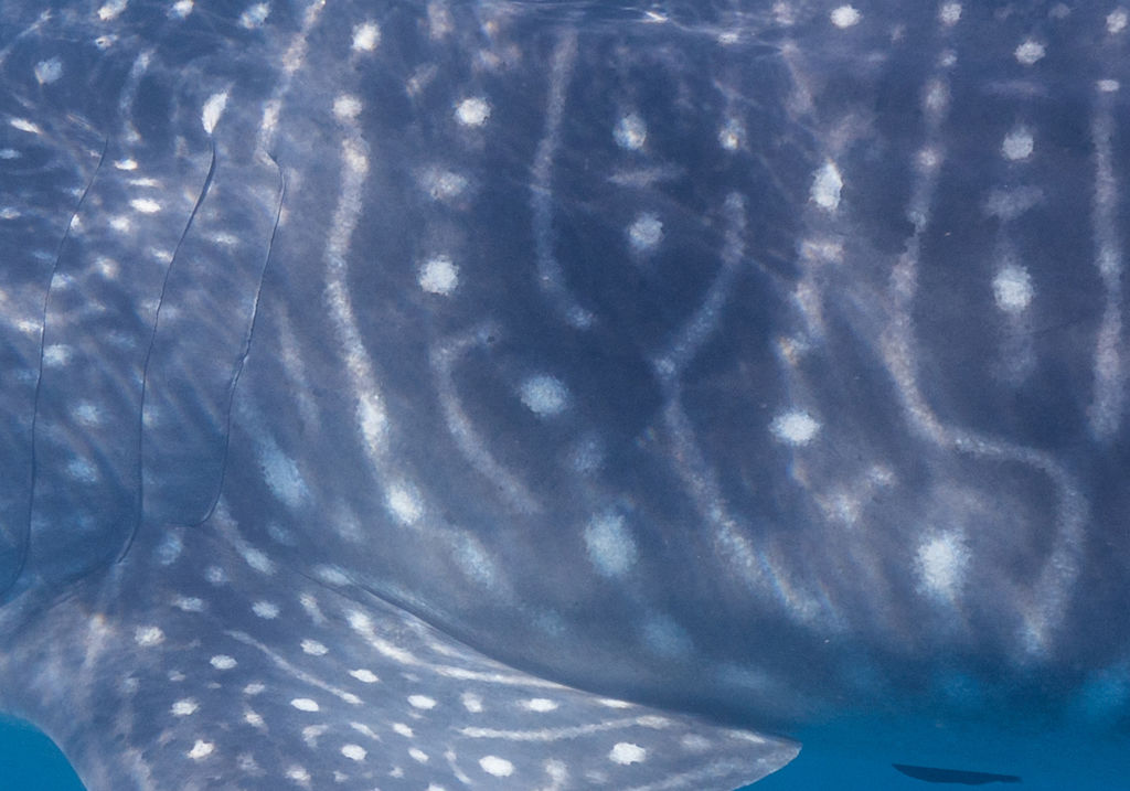 100c2eec-e34b-4387-aca9-0fd220382f7d