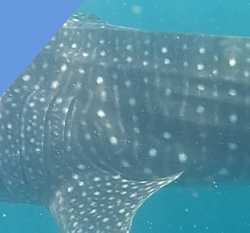 5586ac6d-4946-4f14-8f5a-9e08c20acf65