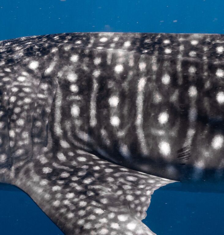 12fce75f-283e-4229-b53c-cd9fdd4507c0