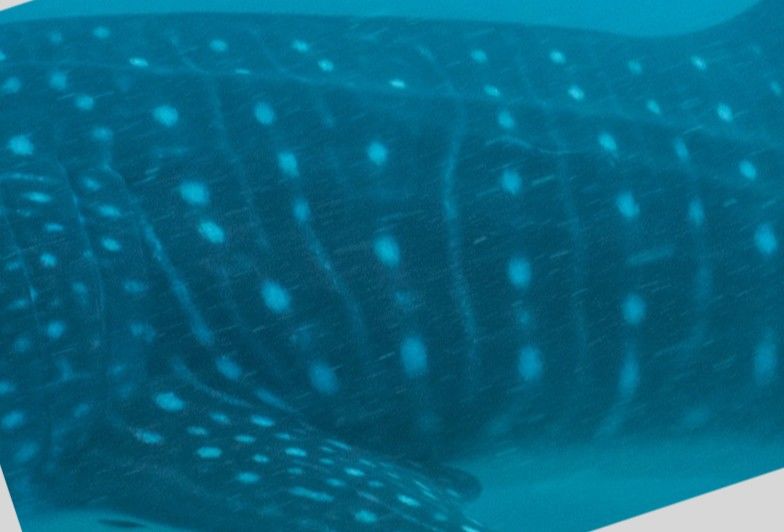 68efac38-0419-483b-9bbc-b5241aac8b4b