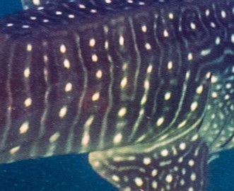 68efac38-0419-483b-9bbc-b5241aac8b4b