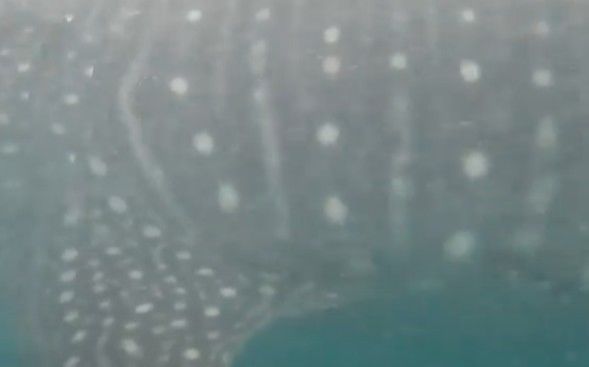 1973e462-c8cc-4b9f-b1cf-458e0be58d8c