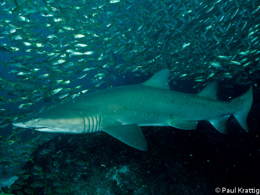 d3d97800-043a-41d2-848c-12a80f29ce0a