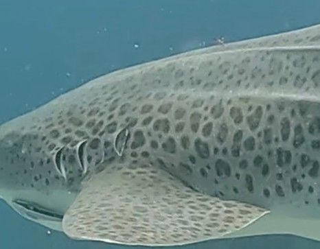 aed0a235-f7b4-48f1-85ee-11bbc3ea6c73