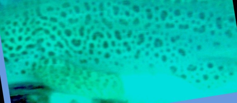 5e46f8a2-73f3-4792-97eb-9fac218ceac6