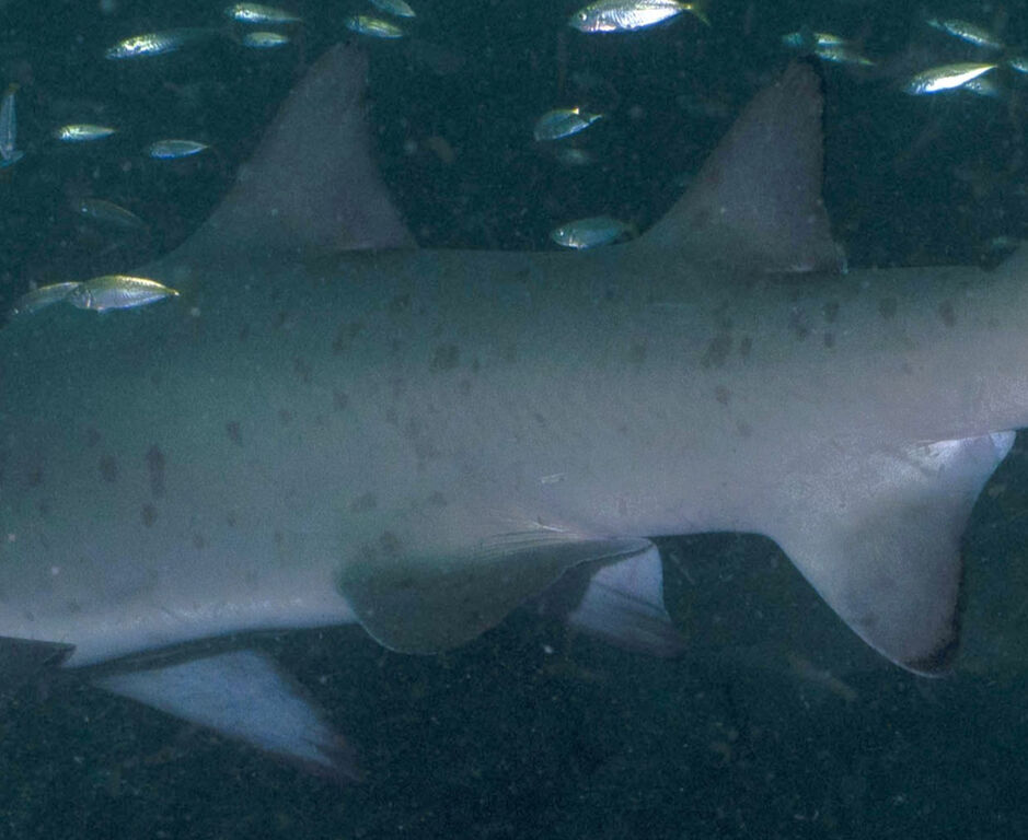 36074ac6-f211-4530-9221-7e520108641c