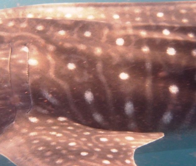 e46129b8-f24f-40ea-bbdf-a9a1013cc442