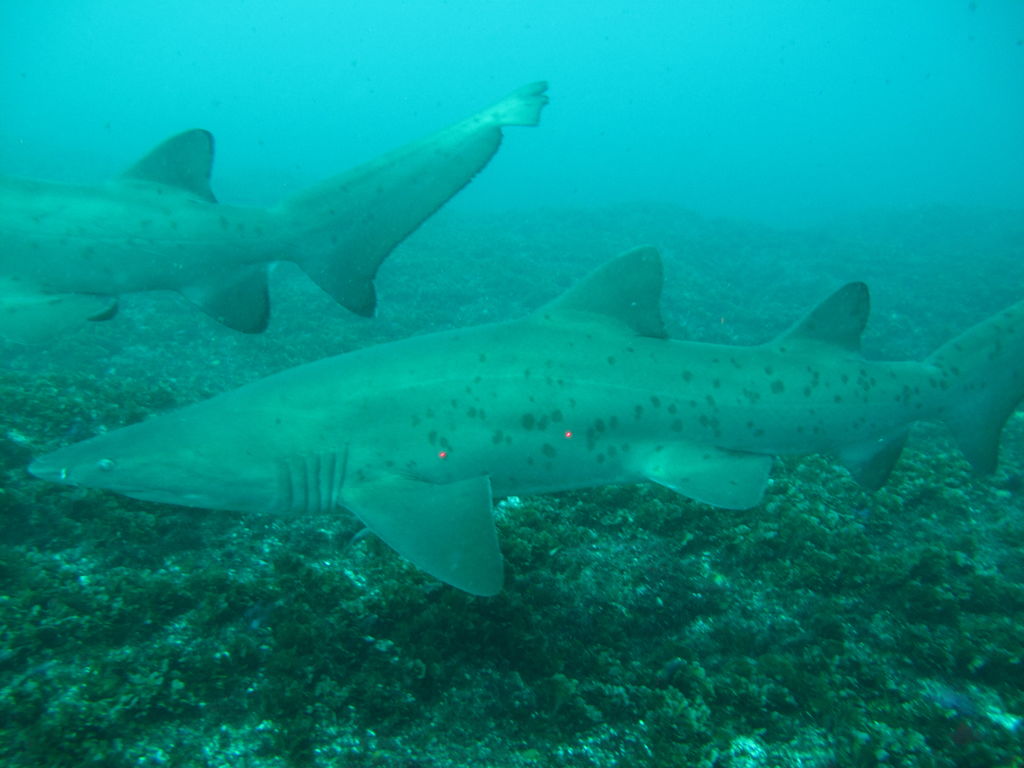 ef6bacb2-f54c-4970-8f7b-590f3e9e1b8c