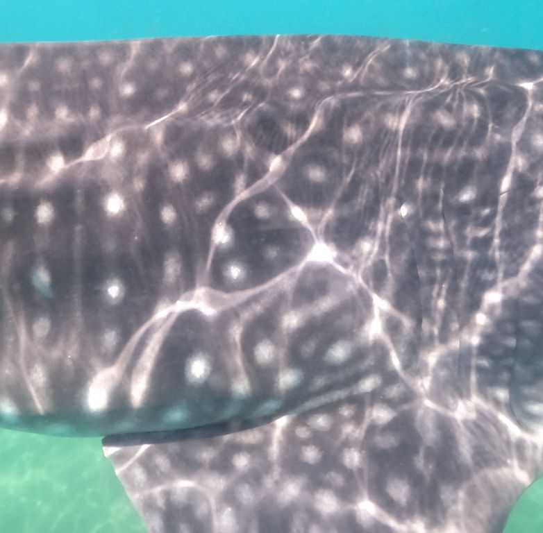 b9d42291-d689-416f-834a-0feb4eb7e191