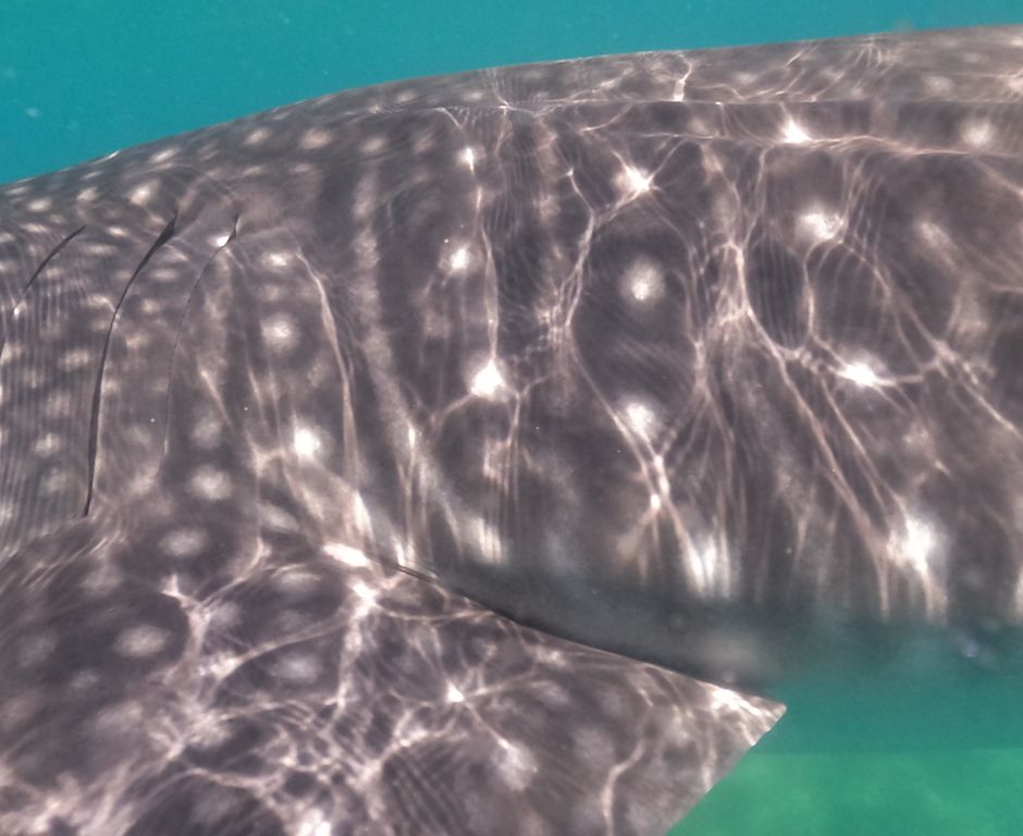 b9d42291-d689-416f-834a-0feb4eb7e191