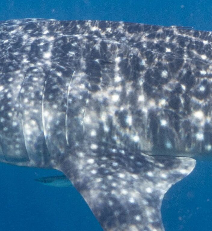 795f98ff-86b7-4874-bc7e-c3d03189583f