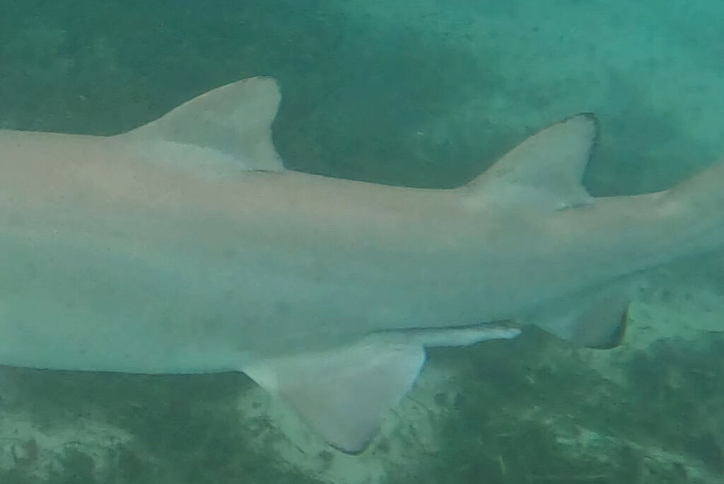 2dd01560-adc1-484c-bb6d-ac0c6d096335