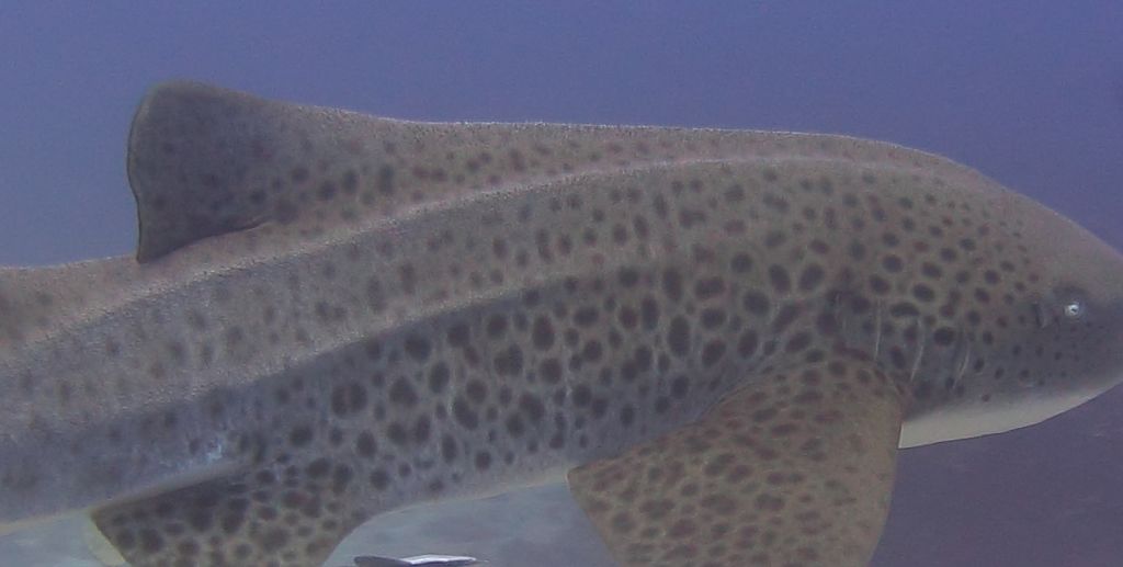 5ad44a49-3b55-49be-97c8-08bbcdb78977