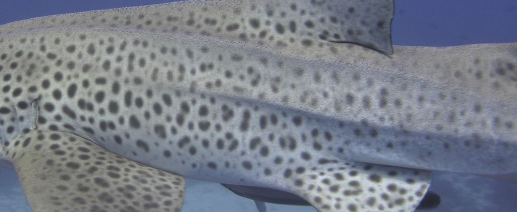 5ad44a49-3b55-49be-97c8-08bbcdb78977